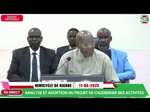SEANCE PLENIERE DU 11 JUIN 2025
