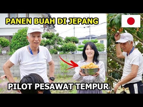 TETANGGA JEPANG PANEN BUAH || Disuruh ambil banyak sampai kewalahan