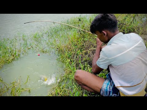 Best Fishing Video 2025 ~ Fishing With Hook ~ Traditional Hook Fishing ~ Рыбалка Видео