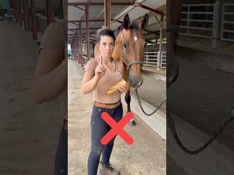 Right/wrong way to treat a horse😍||#shorts #shortsfeed #shortsvideo #viral #viralshorts #horse