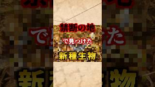 禁断の地で見つけた新種のトカゲ：プロクトポラス・タイタンズ
