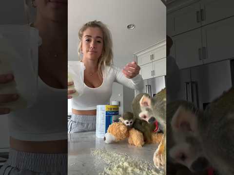 oliver chose chaos😭 #viral #madlovesripley #maldivesripley #beauty #recipe #squirrelmonkey #grwm