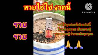 ไอ้ไข่ให้โชค งวดนี้จัดเต็ม มาแน่ เลขธูป เลขเด็ดไอ้ไข่  ขอให้ทุกคนโชคดี