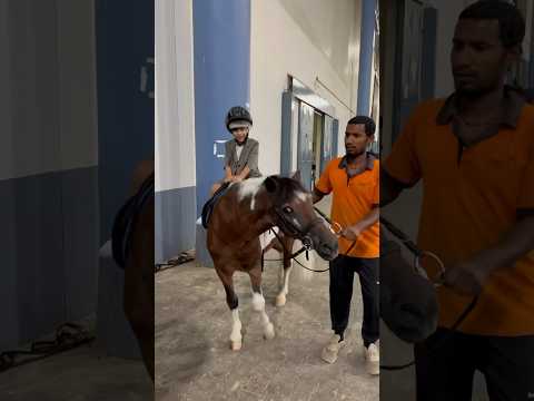 ايلان والحصان الصغير 😍
