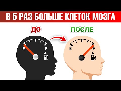 Как ускорить восстановление нервных клеток в 5 раз?🔊
