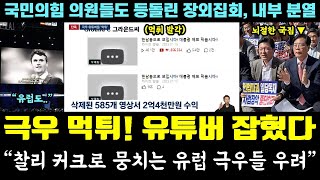 극우 먹튀 잡혔다!! 유튜버 후폭풍ㅋㅋㅋ "찰리 커크로 뭉치는 유럽 극우들 우려" (국민의힘 의원들도 등돌린 장외집회 분열)
