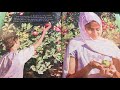 Farah's Cultural Identity and Experiences