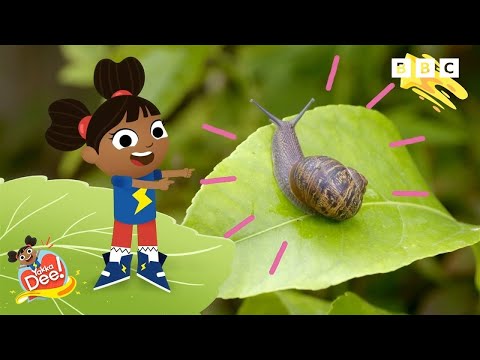Things you find in the Garden | Yakka Dee!