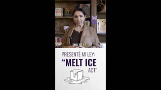 La Ley Melt ICE explicada (con Rep. Delia Ramirez)