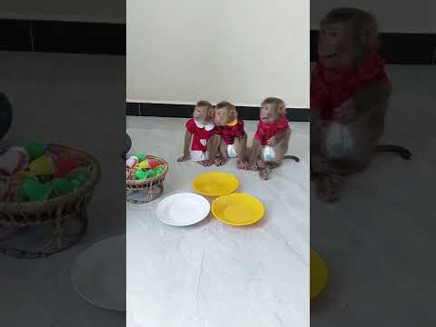 Very Surprise & 3 Cuties Sitting Look Mom Prepare Jelly#Shorts