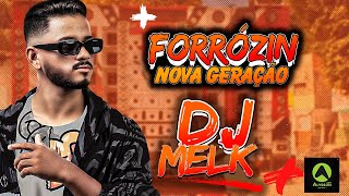 FORRÓZIN 2025 CD PLAYLIST NOVA GERAÇÃO - AS MELHORES - DJ MELK - MÚSICAS NOVAS
