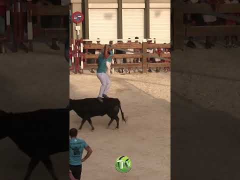 😱 Jugando al Columpio con la Vaca!