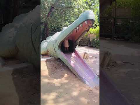 Gunnu ne crocodile ki tongue pe slide kiya #shortvideo #youtube #shorts