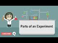 Experimental Variables and Control Groups