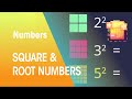 Understanding Square Numbers and Square Roots
