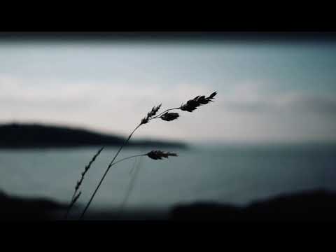 Zanzi Music Composer