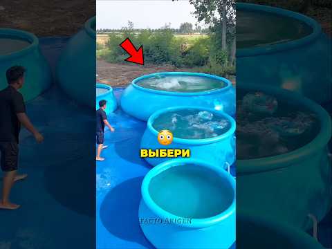 😱🔥Выбери Бассейн В Котором Вы Будете Плавать Всю Жизнь !