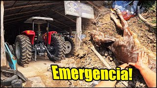 TIVE QUE ABANDONAR A REFORMA DO TRATOR PARA IR CORRENDO SOCORRER UMA EMERGENCIA EM CASA!