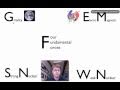 Understanding Nuclear Reactions