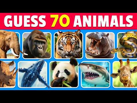 Guess 70 GIANT ANIMALS in 3 seconds 🐋🦍🦒 | EASY to IMPOSSIBLE