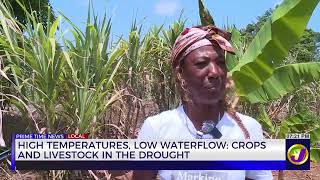 YouTube video thumbnail:  High Temperatures, Low Waterflow: Crops and Livestock in the Drought