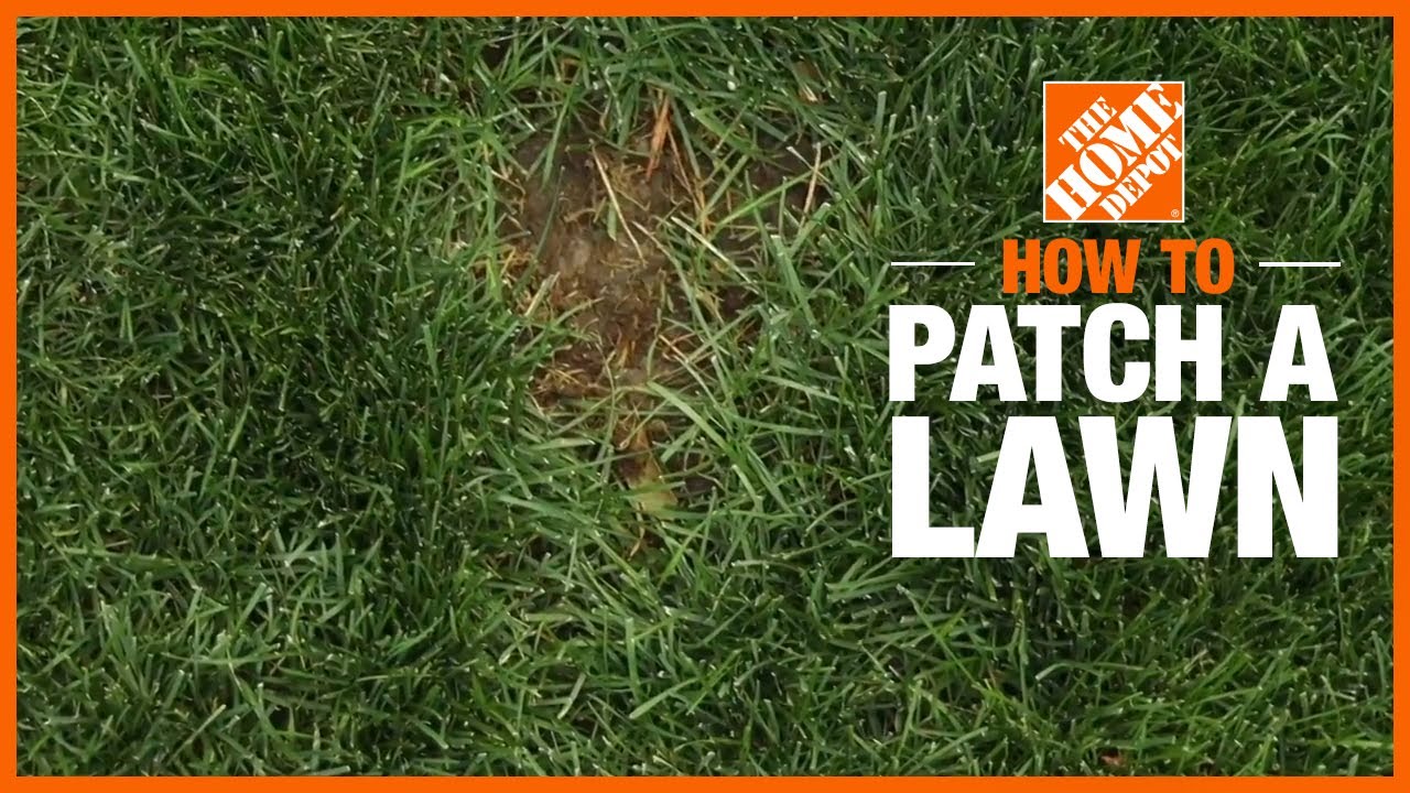 How to Patch a Lawn 