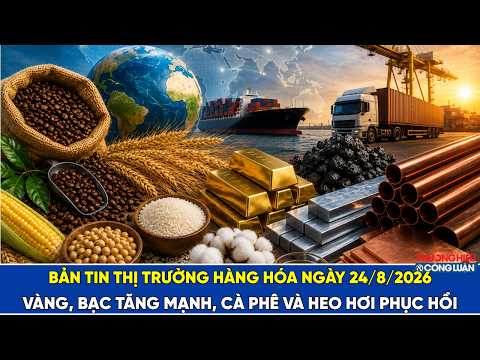 Bản tin thị trường hàng hóa 24/8/2026: Vàng, bạc tăng mạnh, cà phê và heo hơi phục hồi