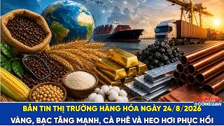  Bản tin thị trường hàng hóa 24/8/2026: Vàng, bạc tăng mạnh, cà phê và heo hơi phục hồi