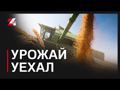 1,8 млн тонн зерна экспортировала Северо-Казахстанская область