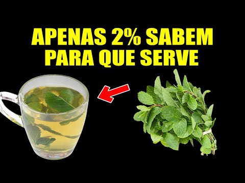 APENAS 2% CONHECEM O VERDADEIRO IMPACTO DO CHÁ DE HORTELÃ PARA SAÚDE