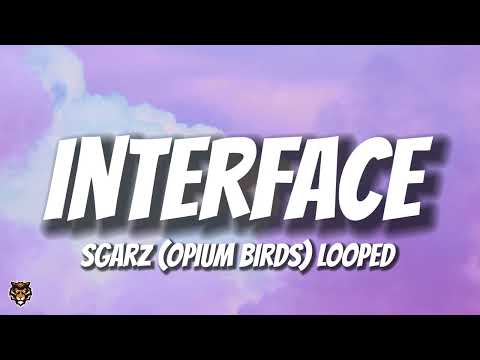 Sgarz - Interface "opium birds" (Looped Audio)
