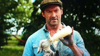 Sheep Detectives - Movie Review. (It's GREAT!)