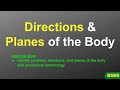 Anatomical Terminology and Body Planes