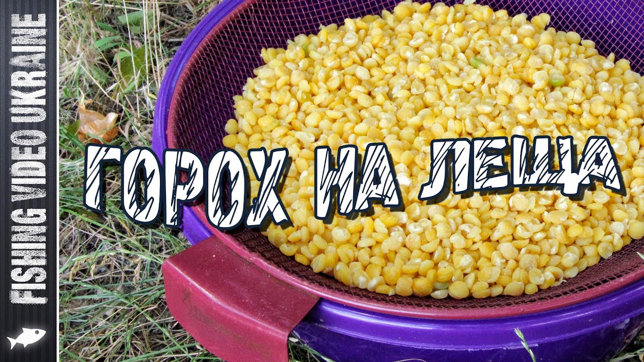 Правильный горох для крупного леща и другой мирной рыбы