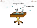 States of Matter and Phase Changes
