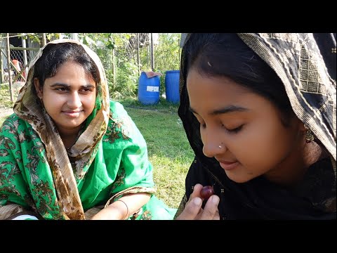 আমাদের গাছের লাল আঙুর খেতে কেমন? | Village life with Shampa