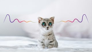 Спокойствие для кошки: звуки без стресса