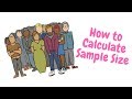 Sample Size Calculation Concepts