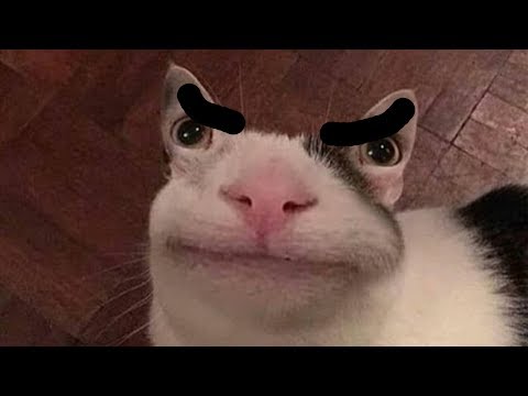 Darf der Kevin bei mir spielen kommen??