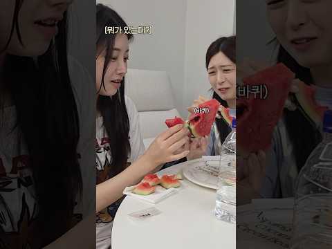 수박 속에 벌레를 발견한 동생들