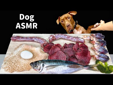 Best DOG ASMR  EATING RAW FOODS