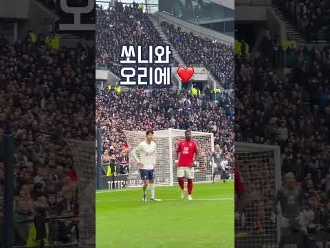 ⚽️ 직캠 | 쏘니붙어 다니는 오리에 #shorts #손흥민 #토트넘