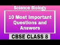 Cell Structure and Function Concepts