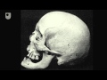 Analysis of Skeletal Remains