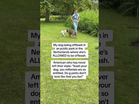 Her tail could not be going any faster 😂😇 It’s kinda becoming a fun running joke to post videos