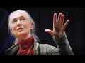 Understanding the Interconnectedness of Nature and Humanity