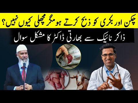 Why Do We Slaughter Chicken and Goat, But Not Fish? | Dr. Zakir Naik's Thought-Provoking Answer