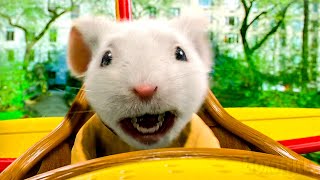 Stuart Little's First Flight in Tiny Plane | Stuart Little 2 🔥 4K