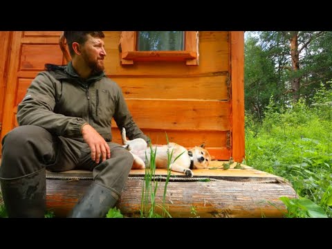 I live in a LOG CABIN with my BUSHCRAFT DOG! Camping with red beast! The history of a forest dog