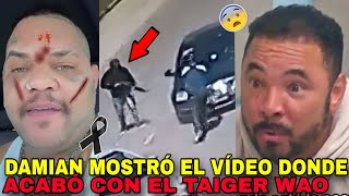 DAMIAN Mostró! El video Donde M4TÓ al Taiger😱 le Disp4ró con su nuera la esposa dijo😨